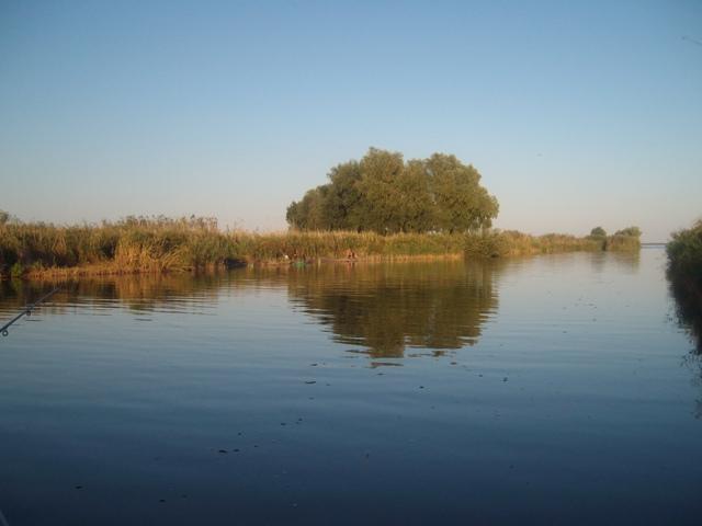 Delta forever - sany7978.JPG